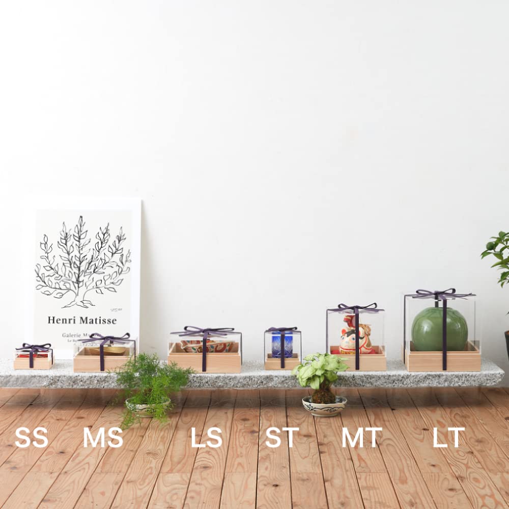 Amazon｜【F+Tres】TAMATEBAKO 玉手箱 SS 収納しながら飾る